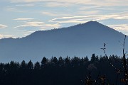 84 Zoom sul Canto Alto